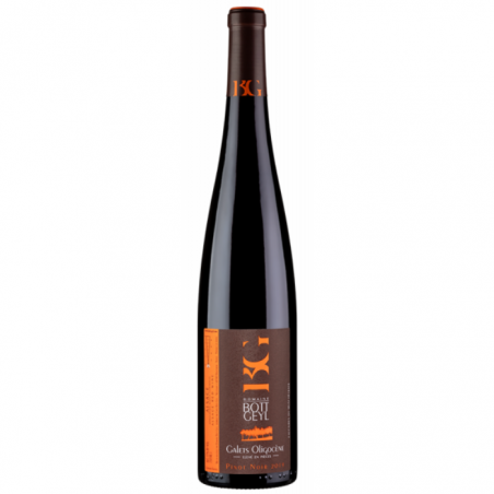 AOC Alsace Pinot Noir Galets Oligocène Calcaires du Muschelkalk | Domaine Bott Gey