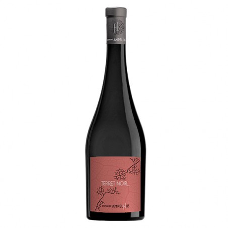 Vin de France Cuvée Portrait Terret Noir Rouge | Domaine Ampelhus