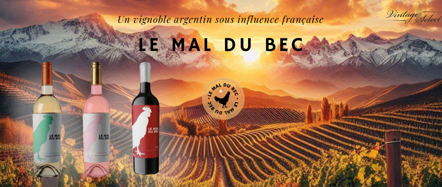 Domaine Le Mal du Bec