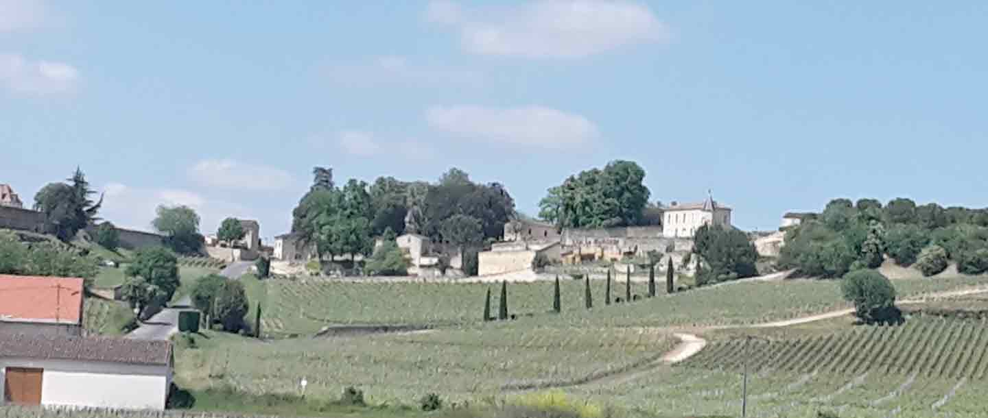 Château Canon La Gaffelière vignoble