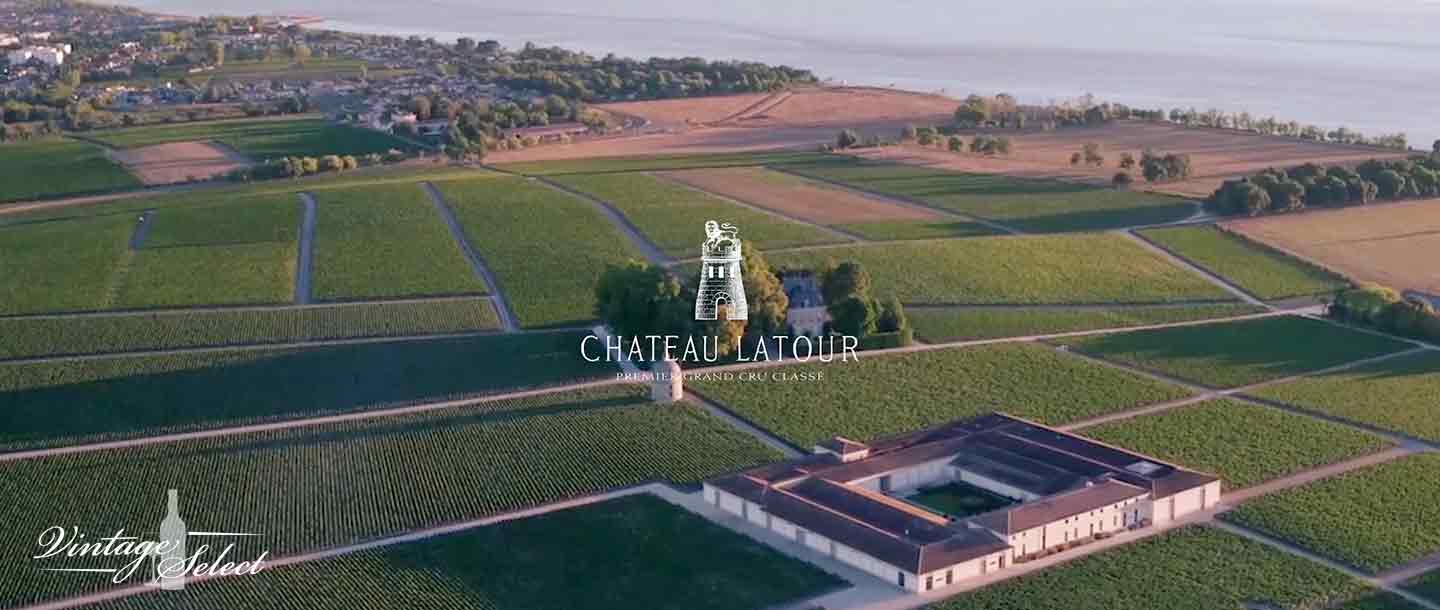 Château Latour, le domaine