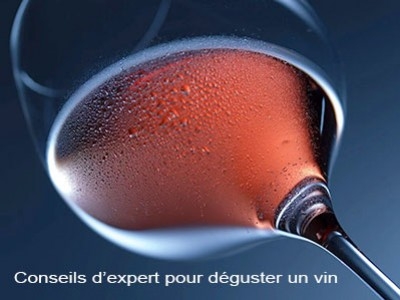 Conseils d’expert pour déguster un vin