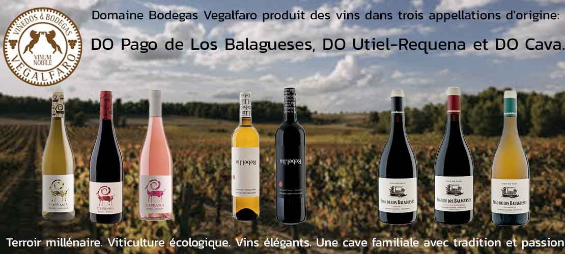 Bodegas Vegalfaro produit des vins dans trois appellations d'origine: DO Pago de Los Balagueses, DO Utiel-Requena et DO Cava.