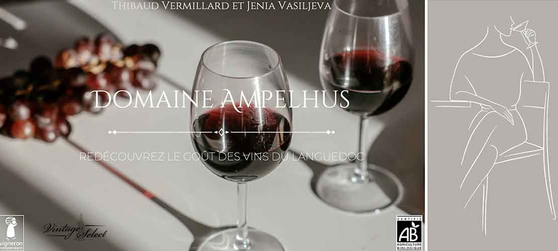 Les vins du domaine Ampelhus Languedoc